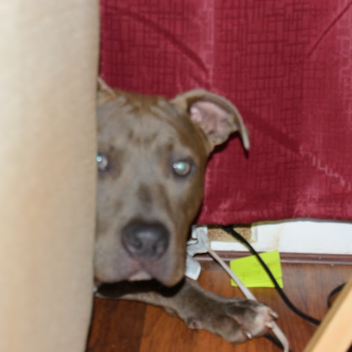 Jack Walters Photo 12