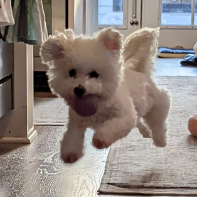 Elizabeth Keiser Photo 11