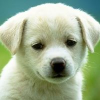 Veronica Walsh Photo 25