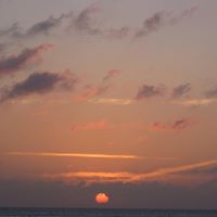 Dawn Sheridan Photo 9