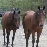 Nancy Hathaway Photo 12 Nancy Hathaway Photo 12