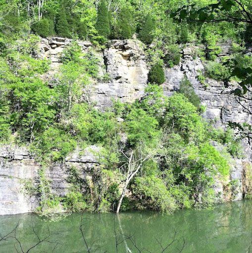 Laurie Pullen Photo 5