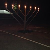 Carol Rector Photo 13