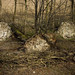 Clay Dykes Photo 16