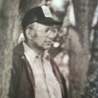 Denise Perkins Photo 37