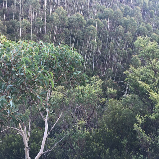 Kris Morris Photo 14