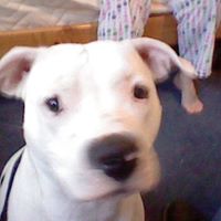 Nathan Anders Photo 24