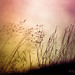 Christopher Hays Photo 44
