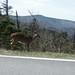 Nancy Mcdowell Photo 16