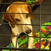 Kathy Walker Photo 6