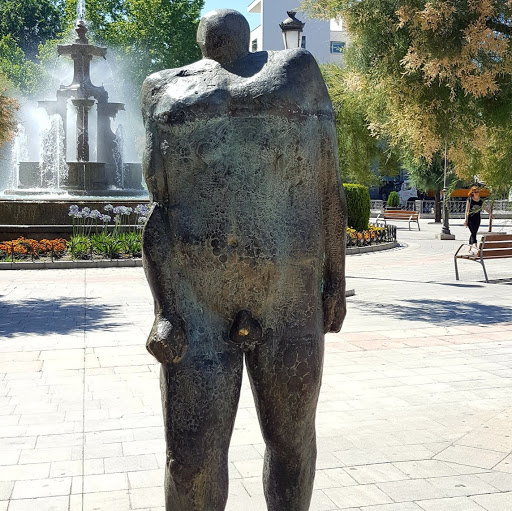 Martin Wilkinson Photo 33