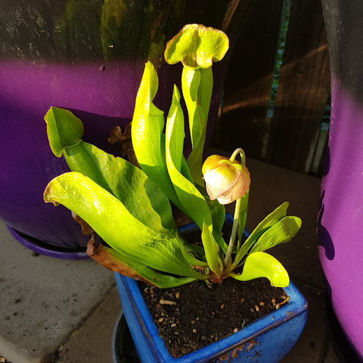 Brenda Weber Photo 29