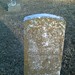 Preston Morris Photo 20