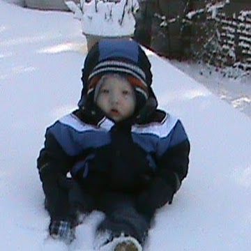 Theresa Alexander Photo 13