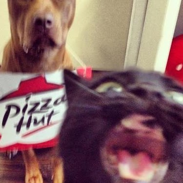 Lilly Carter Photo 2