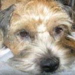 Suzanne Littler Photo 1