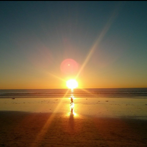 Steven Naylor Photo 11