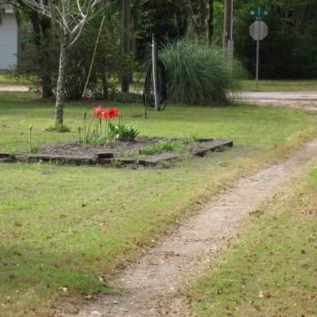 Rachel Barlow Photo 21