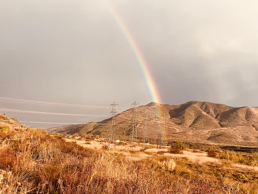 Ruth Arellano Photo 7