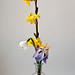 Jeffrey Licht Photo 8
