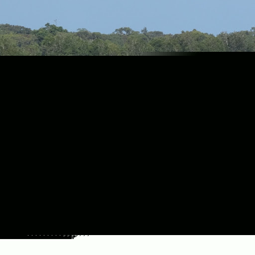 Cameron Reynolds Photo 22