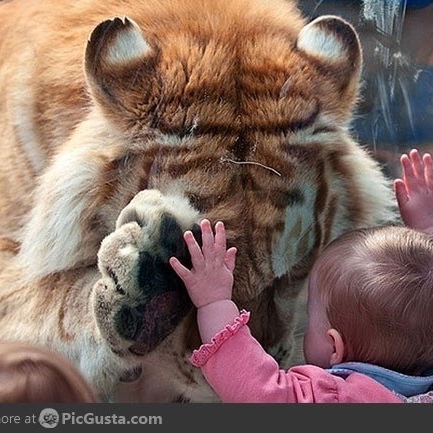 Nina Berger Photo 16