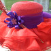 Susan Jaeger Photo 19