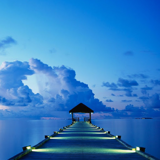 Julie Dewitt Photo 12