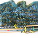 Nancy Schaeffer Photo 12
