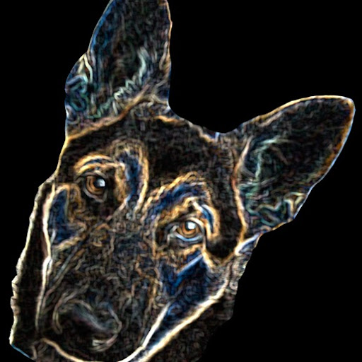 Richard Olsen Photo 13 Richard Olsen Photo 13