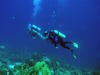 David Ingram Photo 10