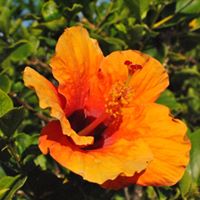 Cheryl Roberson Photo 20