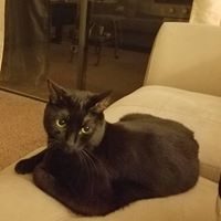 Cecilia Clark Photo 18