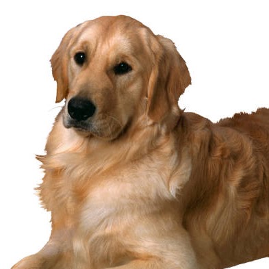 Pamela Schultz Photo 46