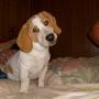 Donna Moorehead Photo 8