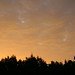 Dawn Hopkins Photo 31