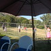 Marcia Garrett Photo 12