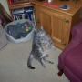 Cynthia Wynn Photo 8