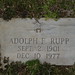 Allen Halstead Photo 21
