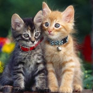 Geraldine Walsh Photo 36