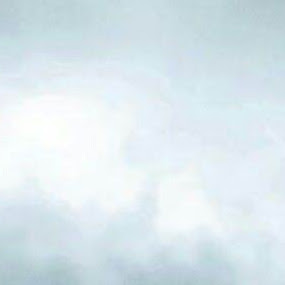 Shane Weber Photo 16