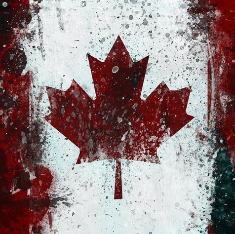 Kristie Robbins Photo 13