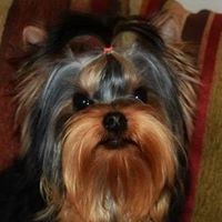 Janet Blanchard Photo 15