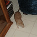 Amber Hunter Photo 6
