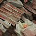 Nancy Parsons Photo 16