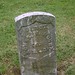 William Munn Photo 15
