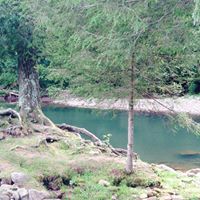 April Hodges Photo 16