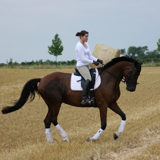 Lisa Reinhardt Photo 11