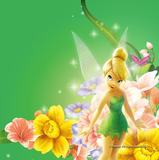 Dawn Stevens Photo 13