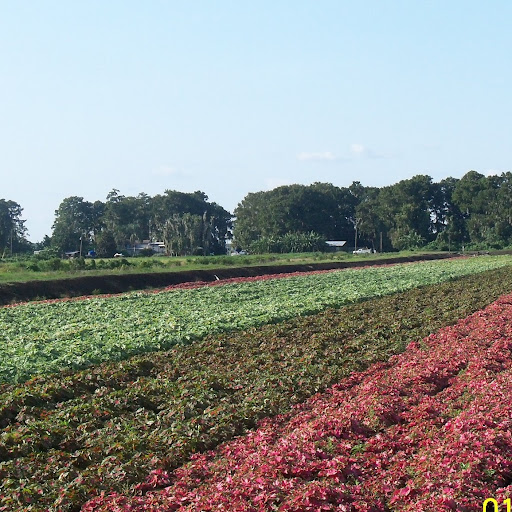 Betty Fields Photo 28